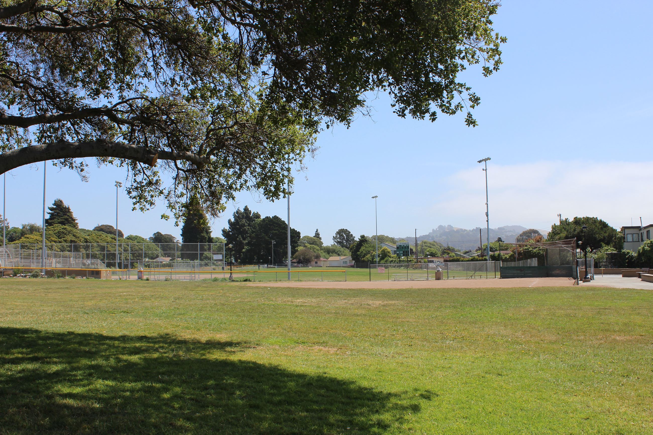 Davis Park Field