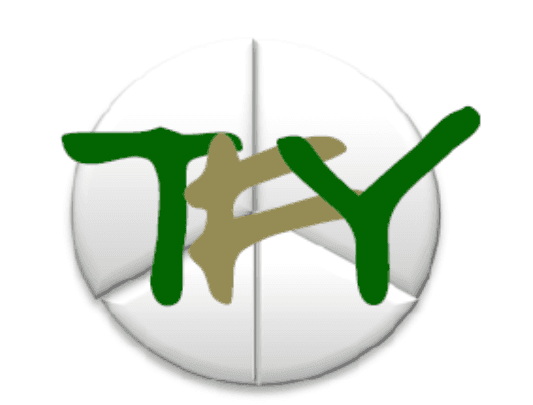 Team for Youth Logo