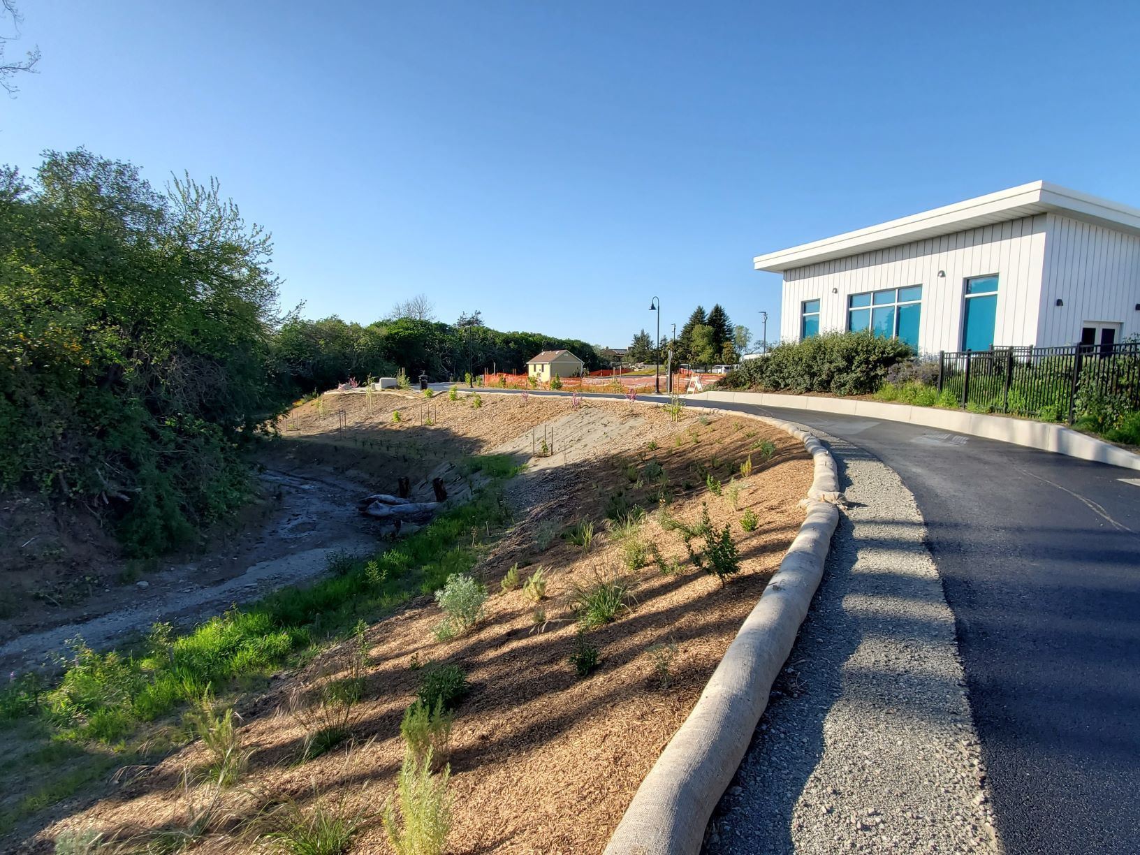Photo of the Wildcat Creek Trail / Foto del sendero del Arroyo Wildcat