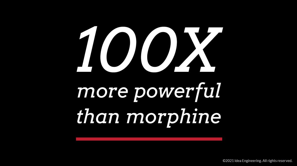 FiF-WG4-100xmore_English