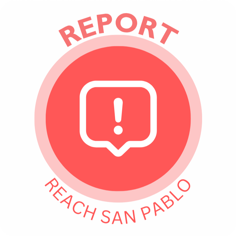 Report