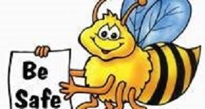 Be Safe  300
