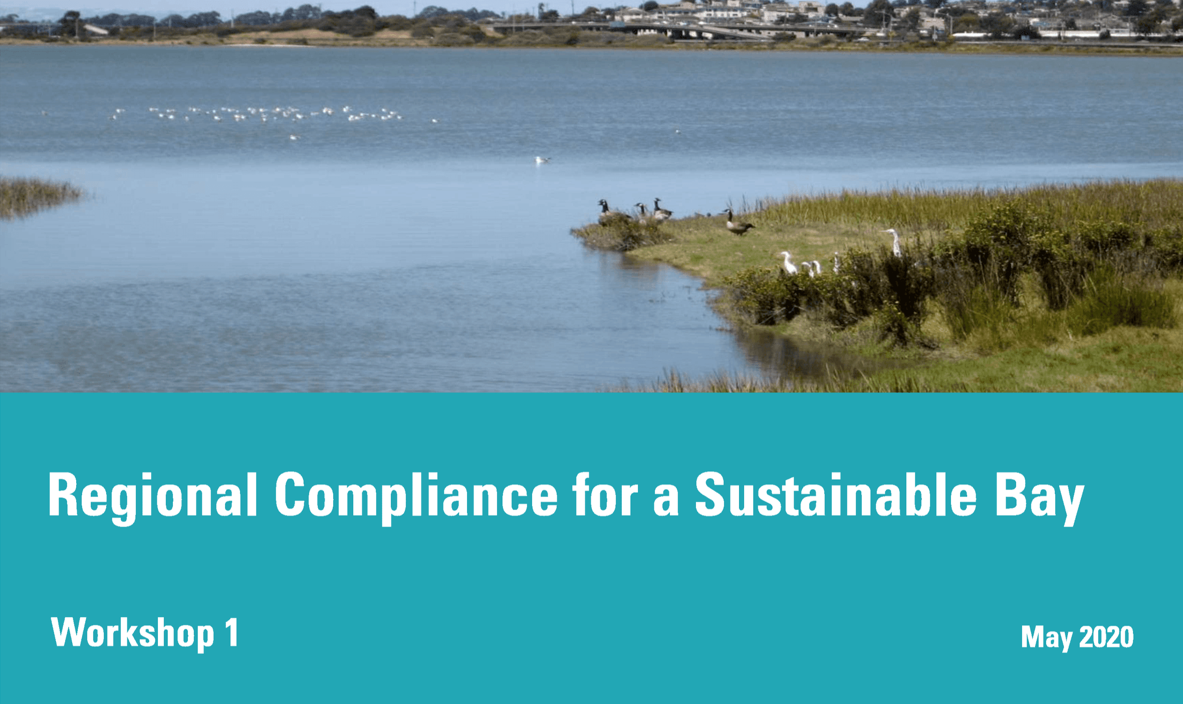 Workshop 1 Presentation Slides Opens in new window