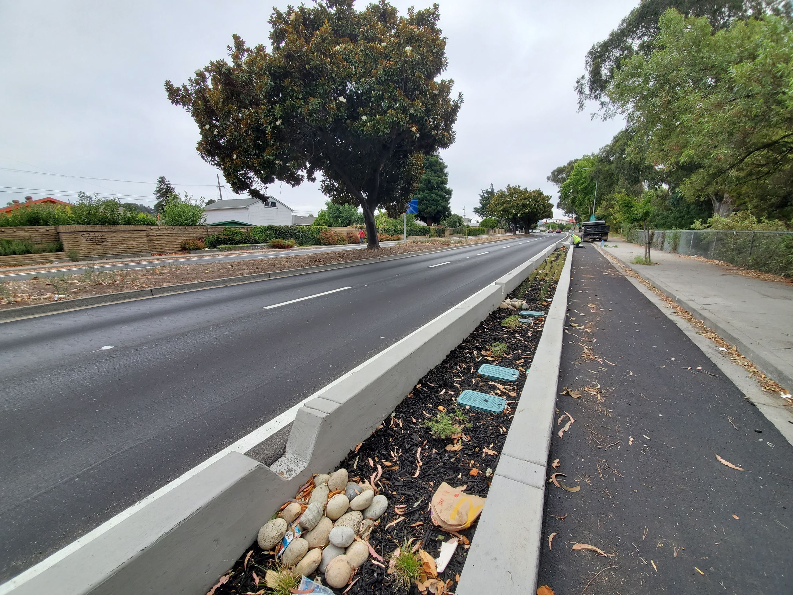 El Portal Urban Greening Project Photo / Foto del proyecto de enverdecimiento urbano de El Portal