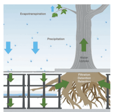 Schematic illustration of an installed load-bearing modular grid product (Source: Deep Root Tech)