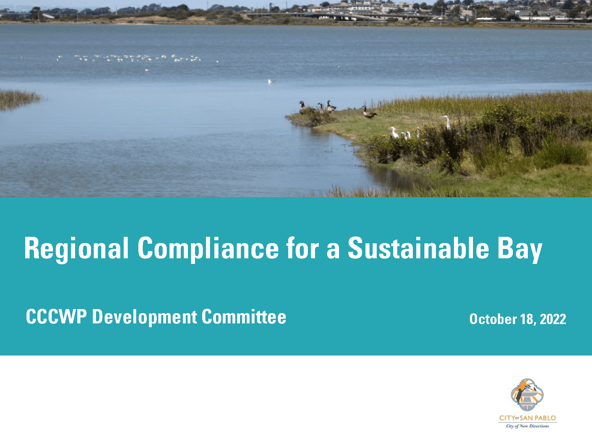 Advisory Committee #5 Presentation Opens in new window